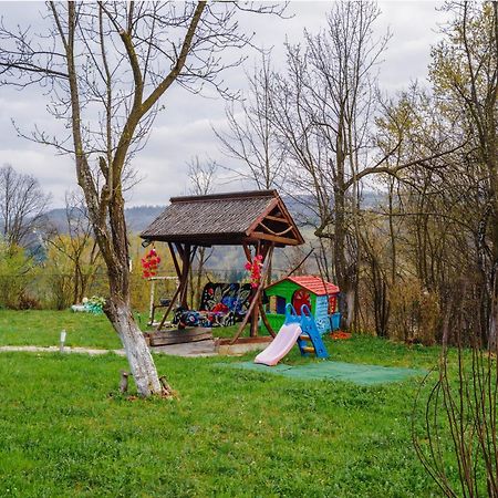 Pensiunea Nituca Moisei Exteriér fotografie