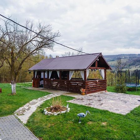 Pensiunea Nituca Moisei Exteriér fotografie