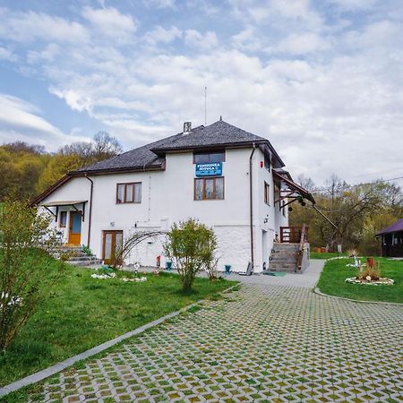 Pensiunea Nituca Moisei Exteriér fotografie