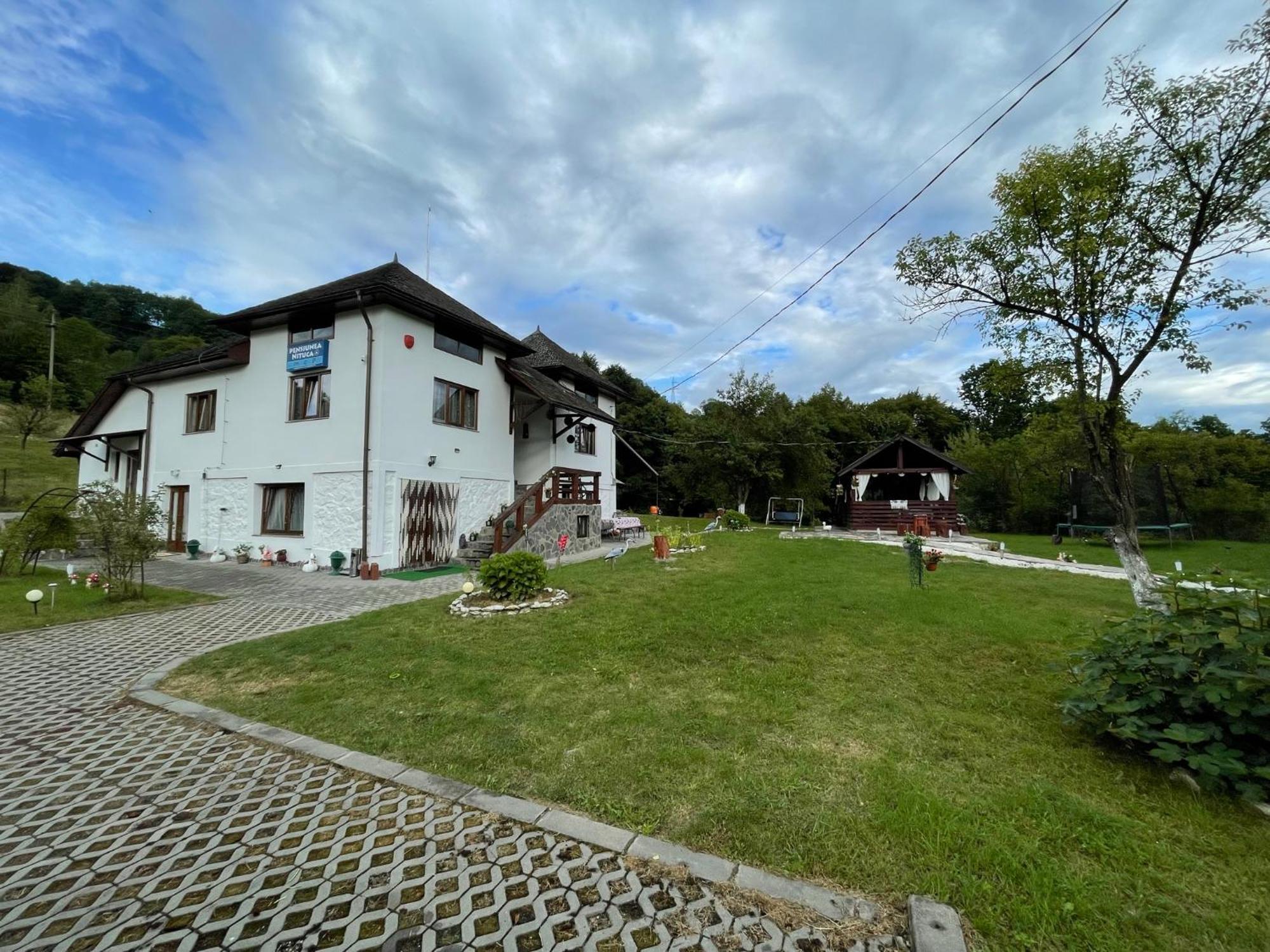 Pensiunea Nituca Moisei Exteriér fotografie