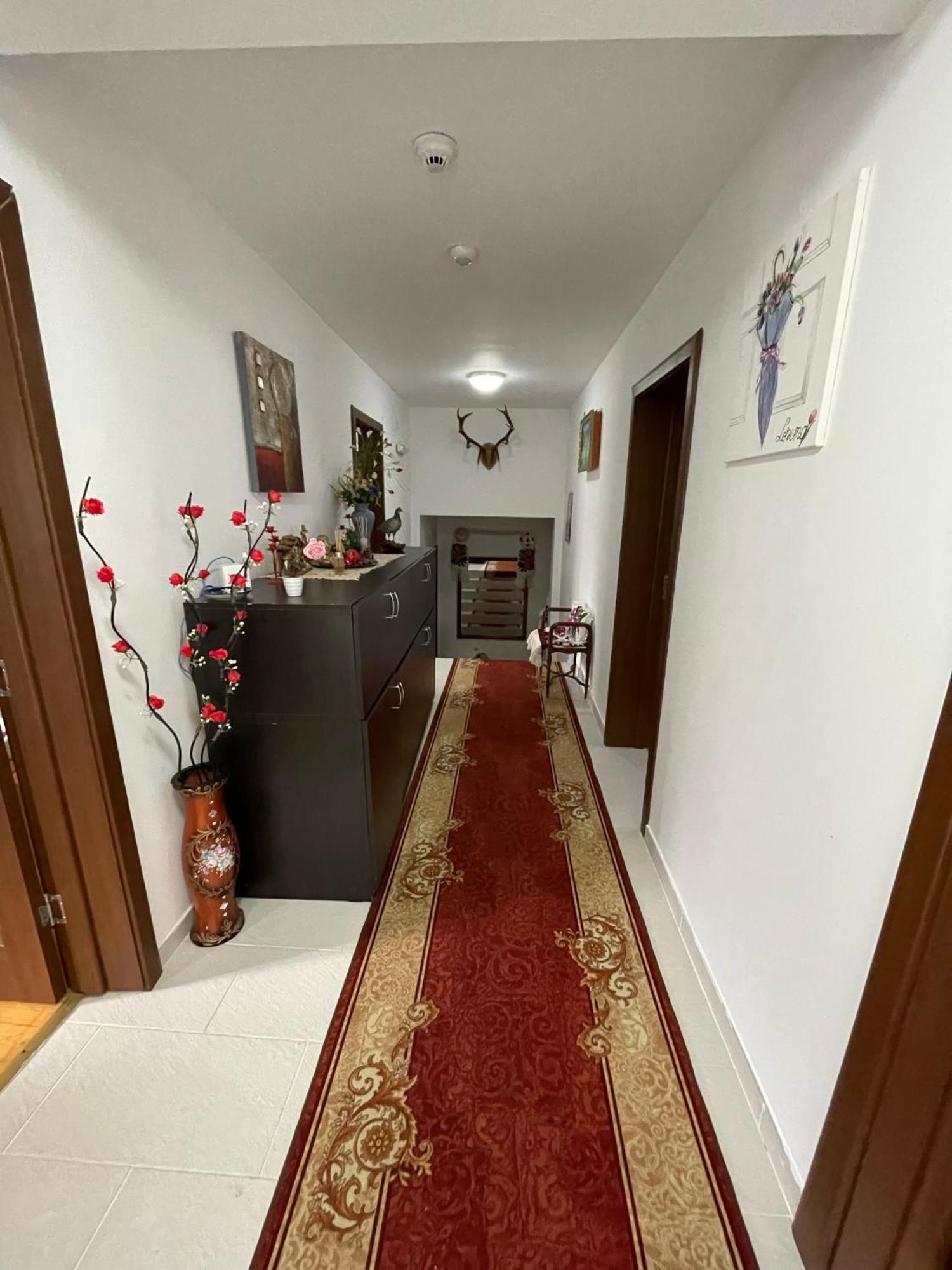 Pensiunea Nituca Moisei Exteriér fotografie