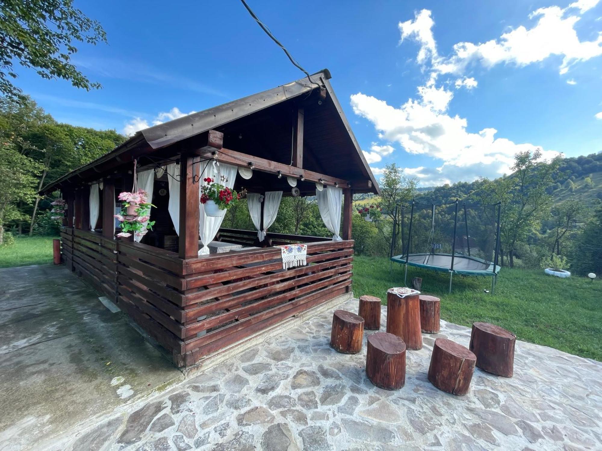 Pensiunea Nituca Moisei Exteriér fotografie