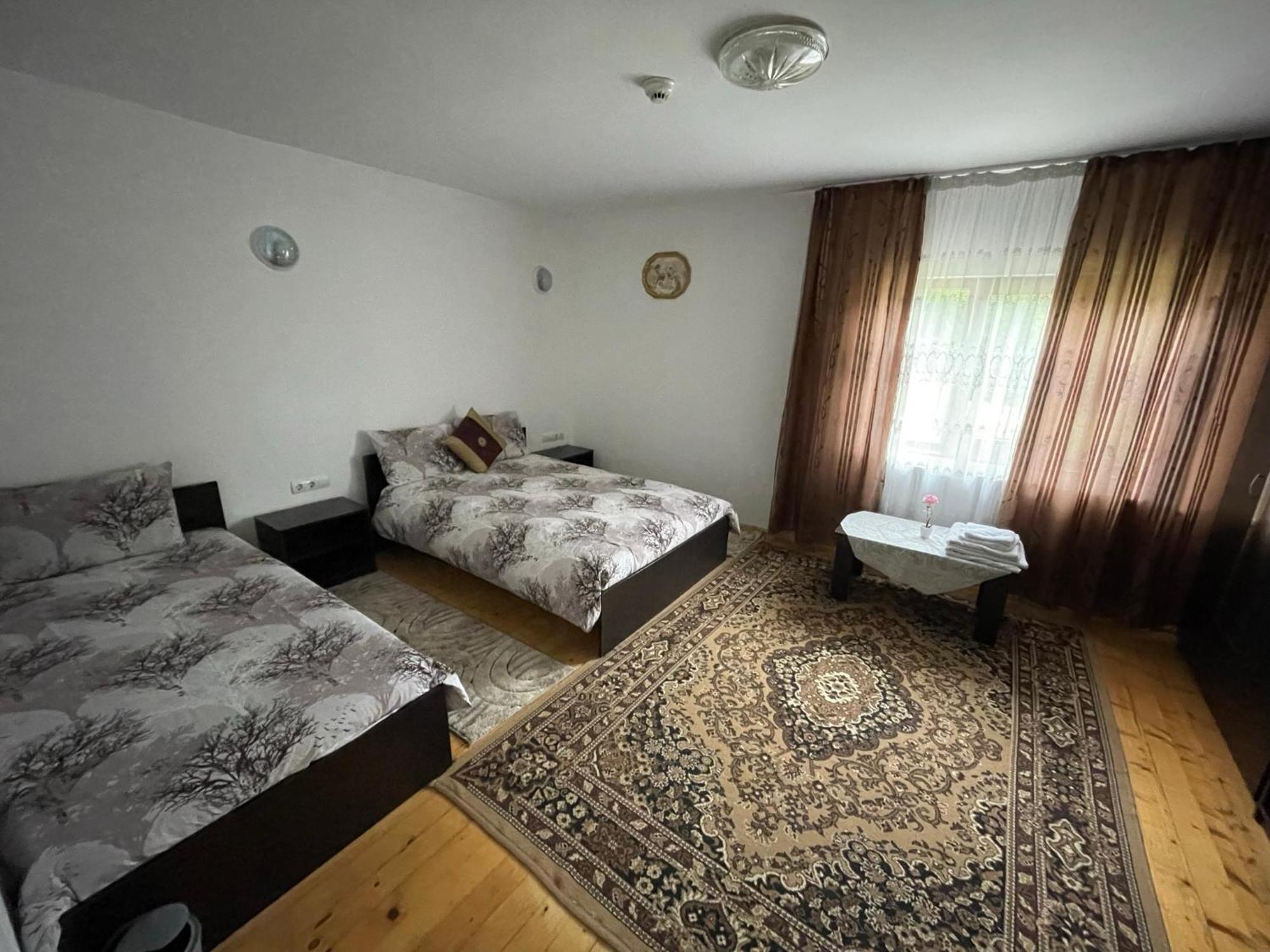 Pensiunea Nituca Moisei Exteriér fotografie