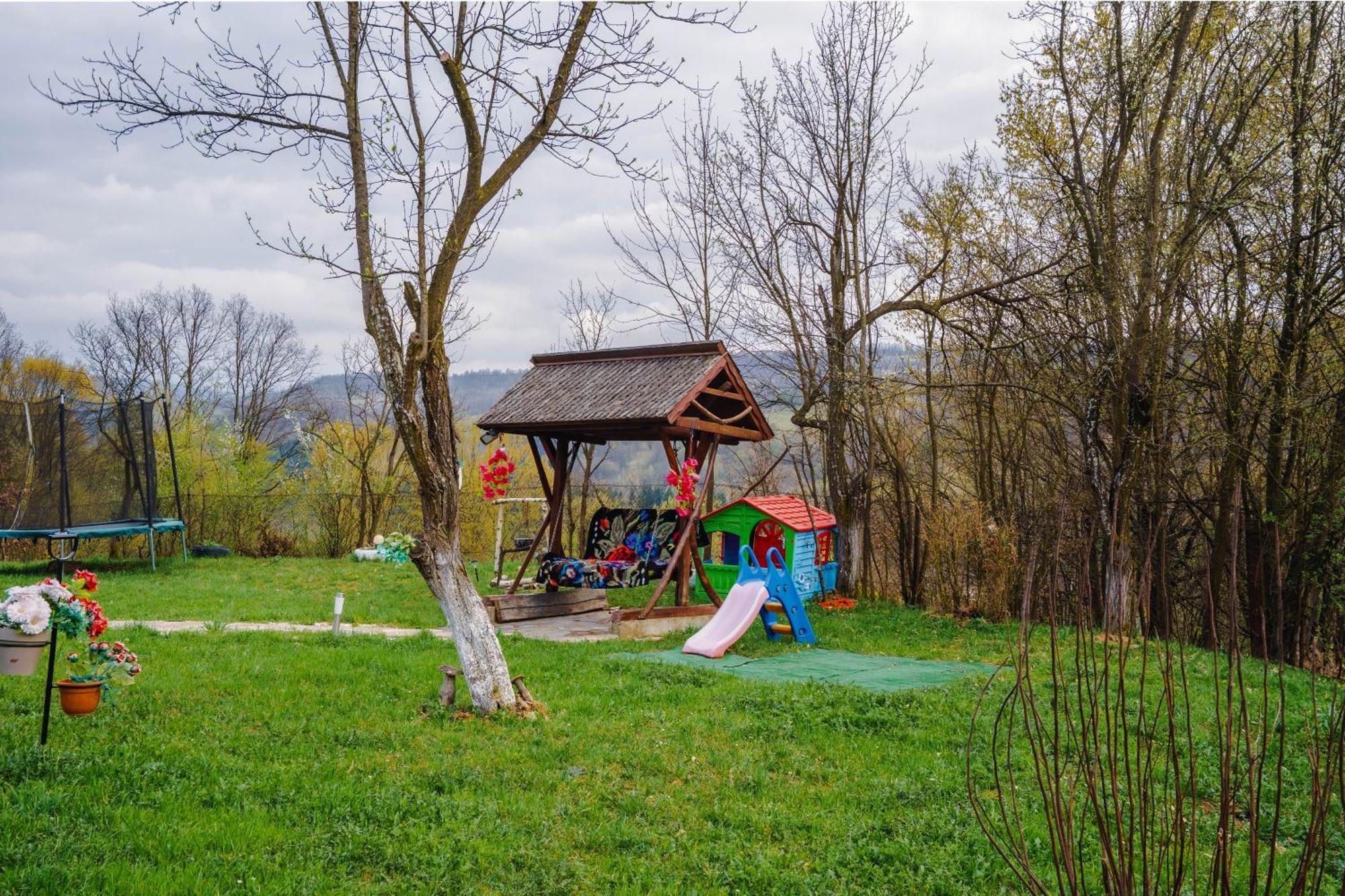 Pensiunea Nituca Moisei Exteriér fotografie