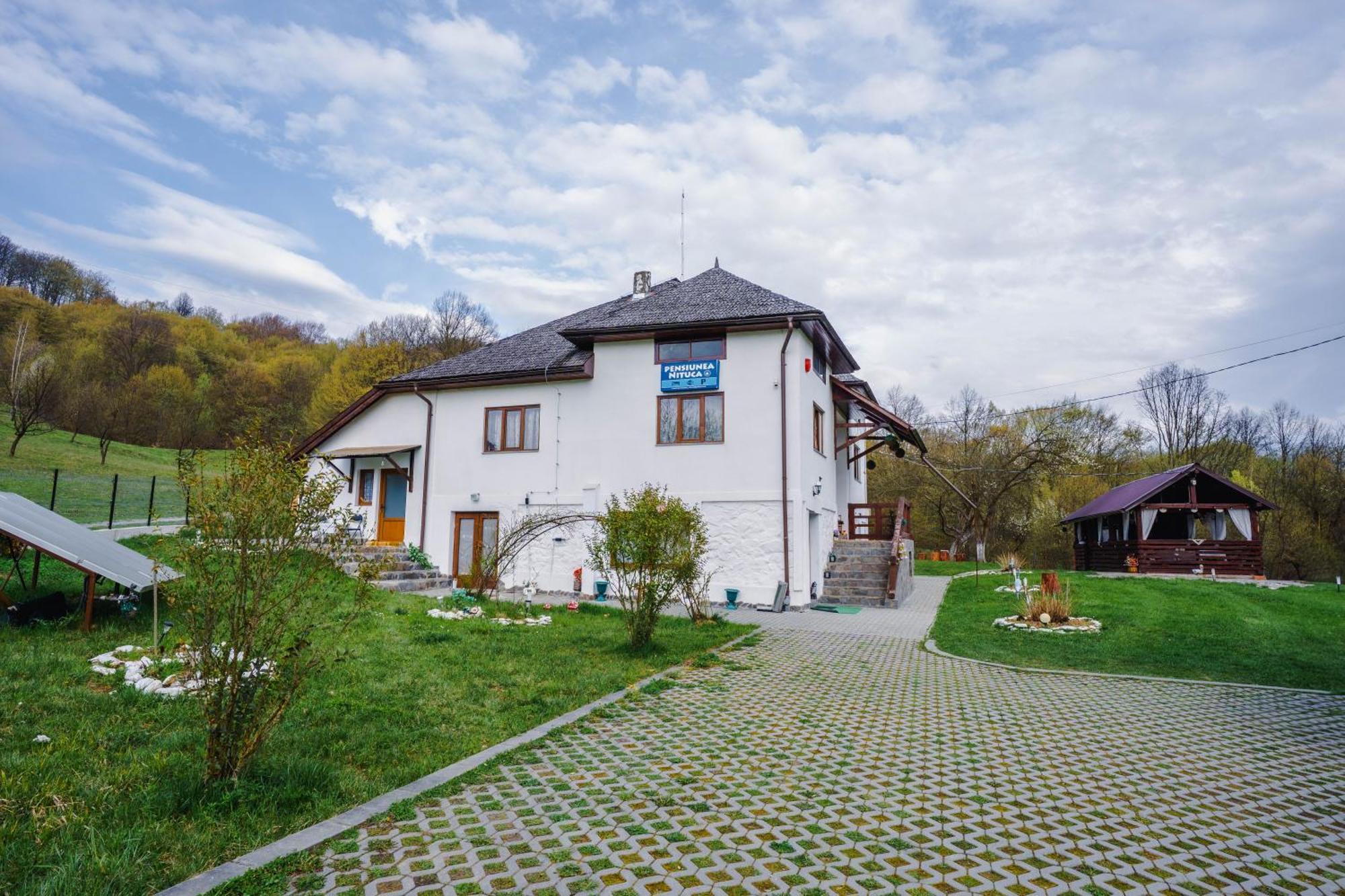 Pensiunea Nituca Moisei Exteriér fotografie