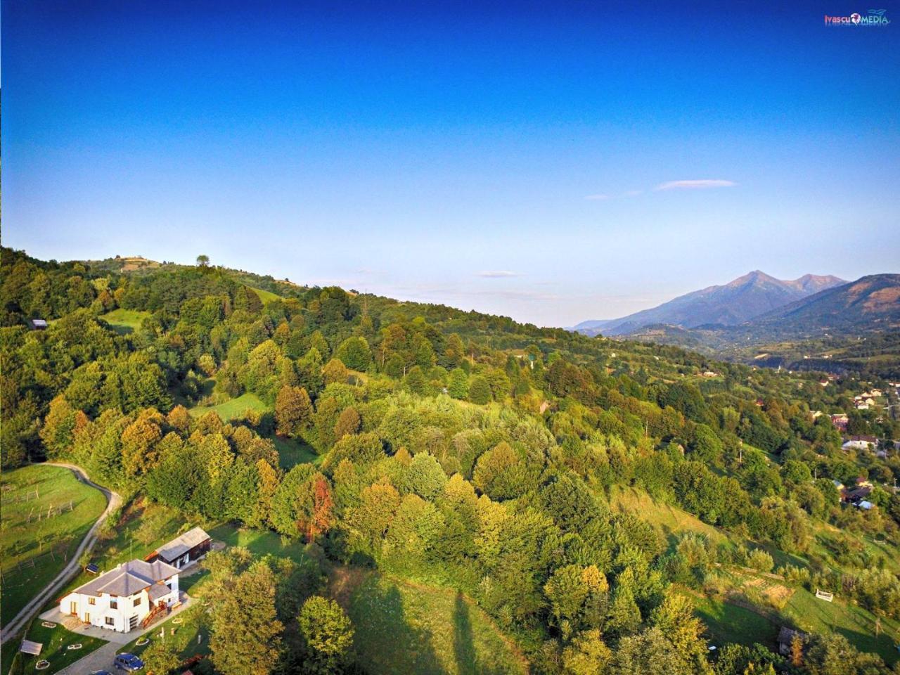 Pensiunea Nituca Moisei Exteriér fotografie