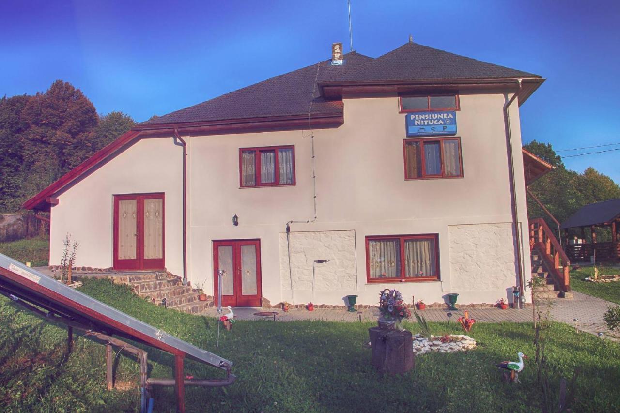 Pensiunea Nituca Moisei Exteriér fotografie