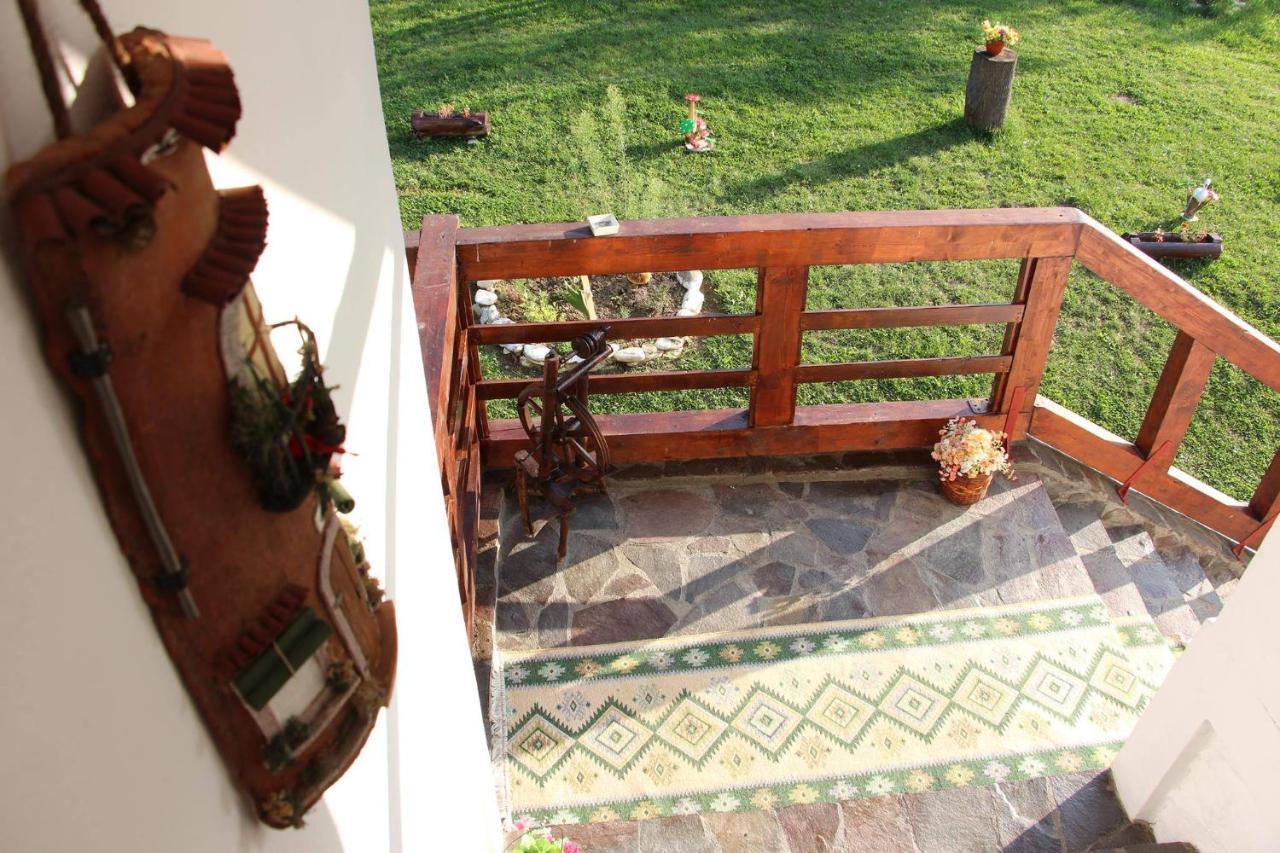 Pensiunea Nituca Moisei Exteriér fotografie