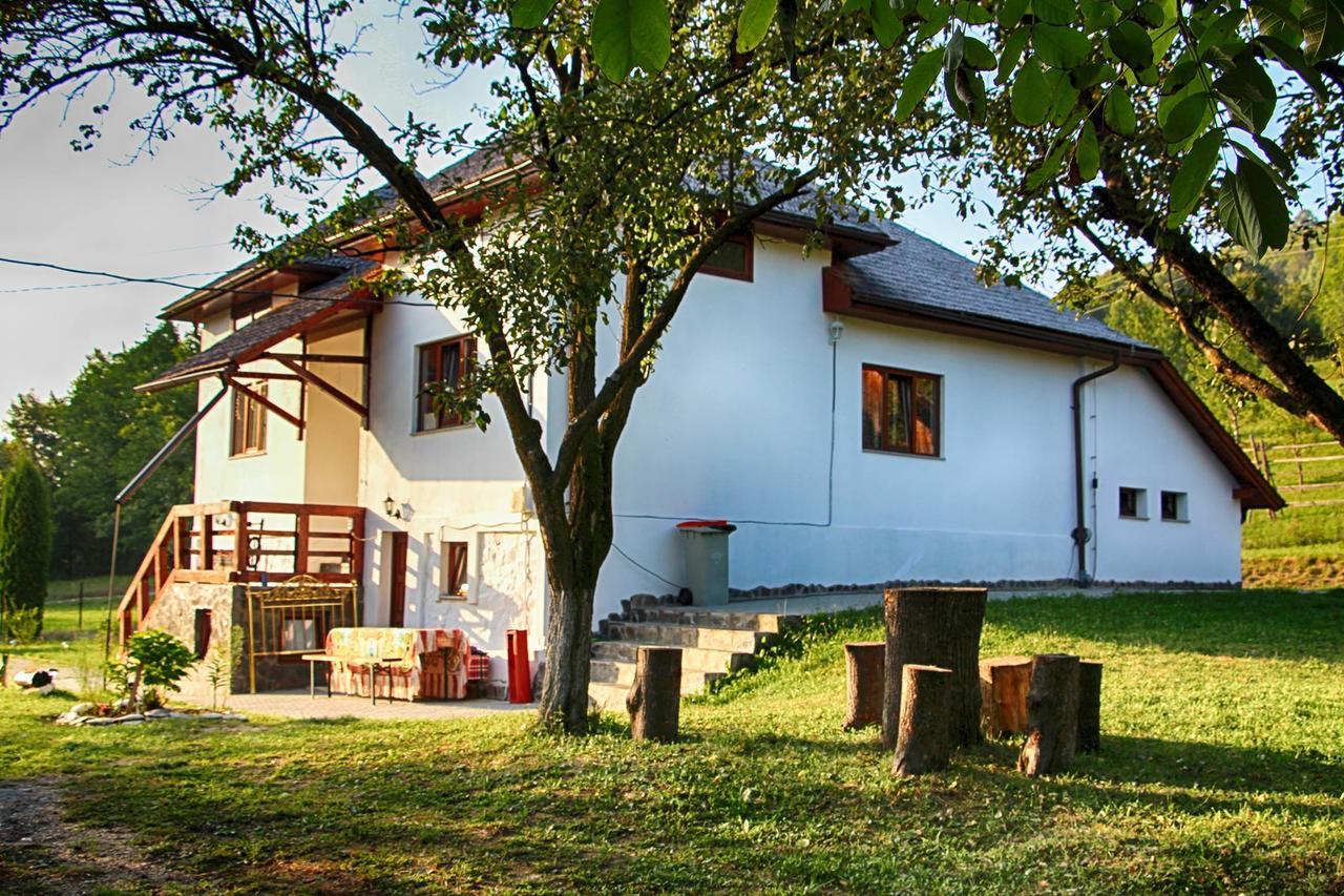 Pensiunea Nituca Moisei Exteriér fotografie