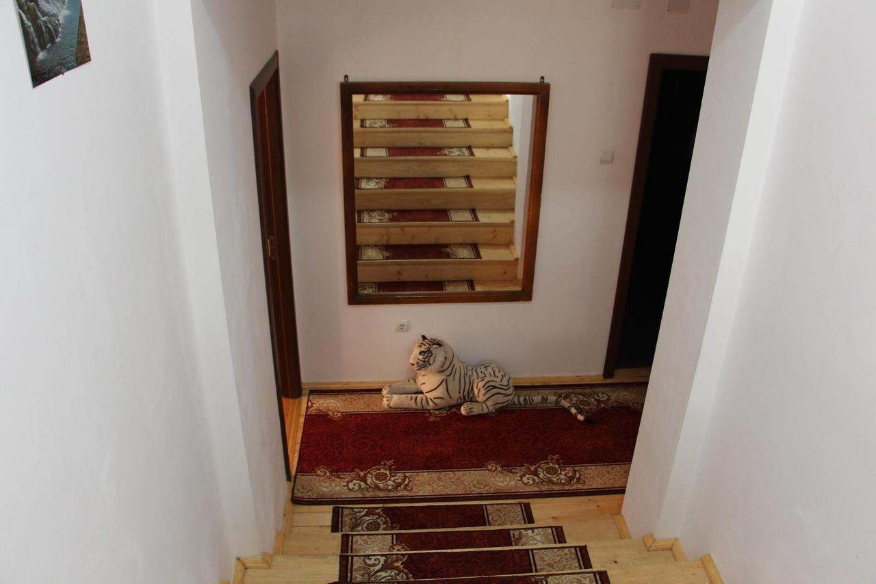 Pensiunea Nituca Moisei Exteriér fotografie