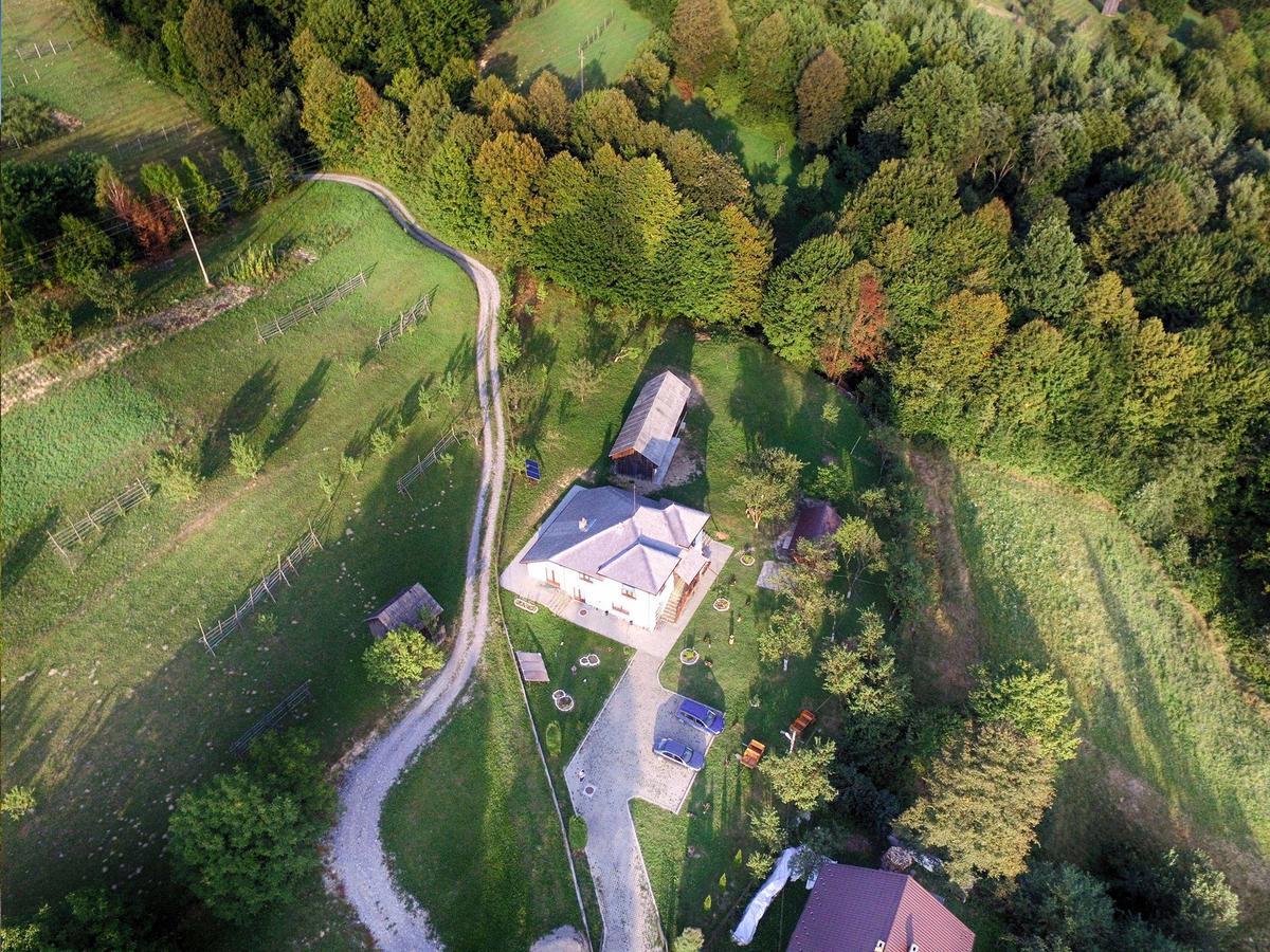 Pensiunea Nituca Moisei Exteriér fotografie