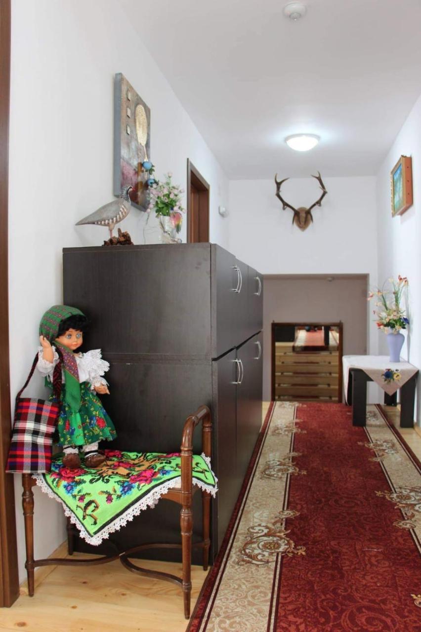 Pensiunea Nituca Moisei Exteriér fotografie