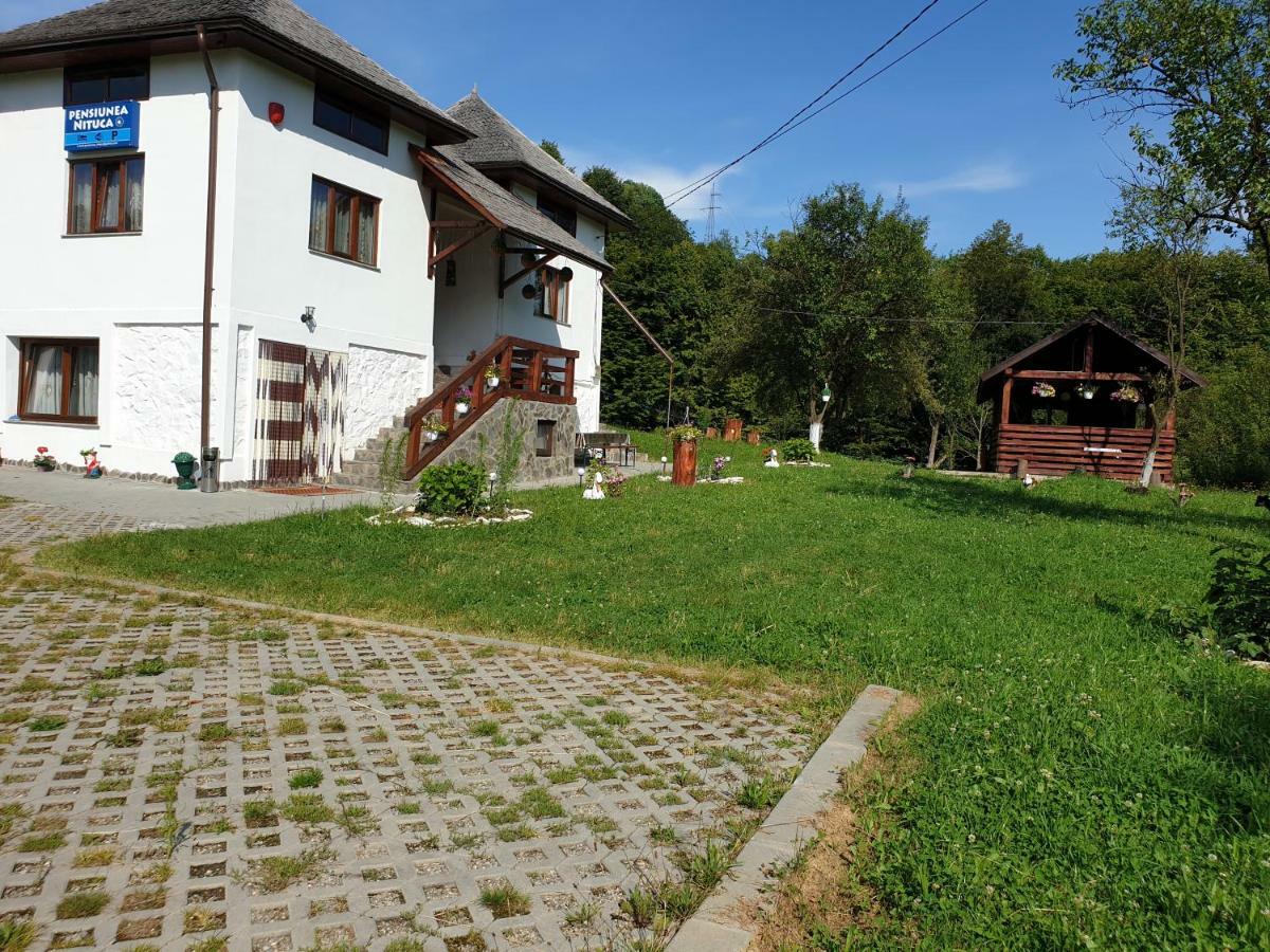 Pensiunea Nituca Moisei Exteriér fotografie